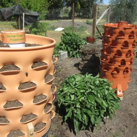 A Plant Tower that Can Grow 50 Plants in 4 Sq. Ft.