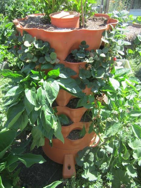garden tower, plant tower