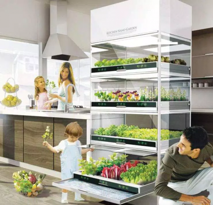 A Desk Garden for Office Plants and Indoor Gardening Trends GardensAll