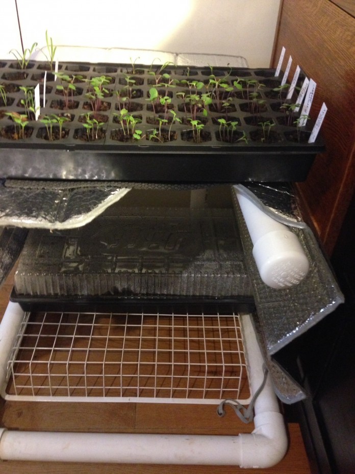 Easy DIY PVC Grow Light Stand for Indoor Plants GardensAll