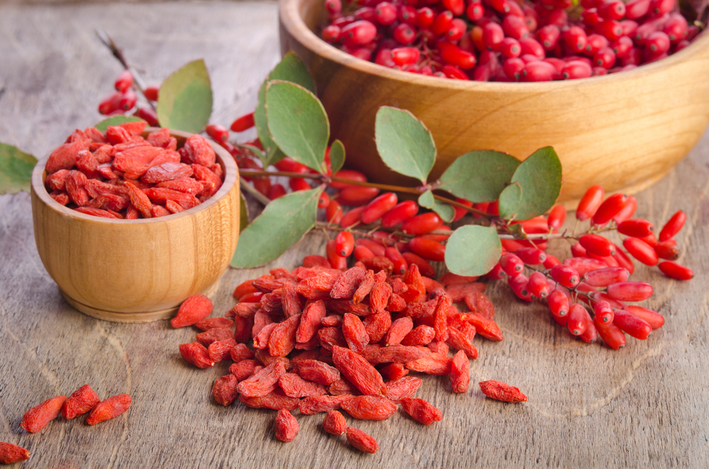 Devani Alderson, Goji Berries, Health Benefits of Goji Berries, How to Grow Goji Berries, Planting Goji Berries, Pure Healing Foods