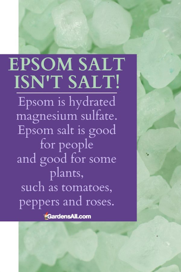 Epsom Salt for Plants and People GardensAll