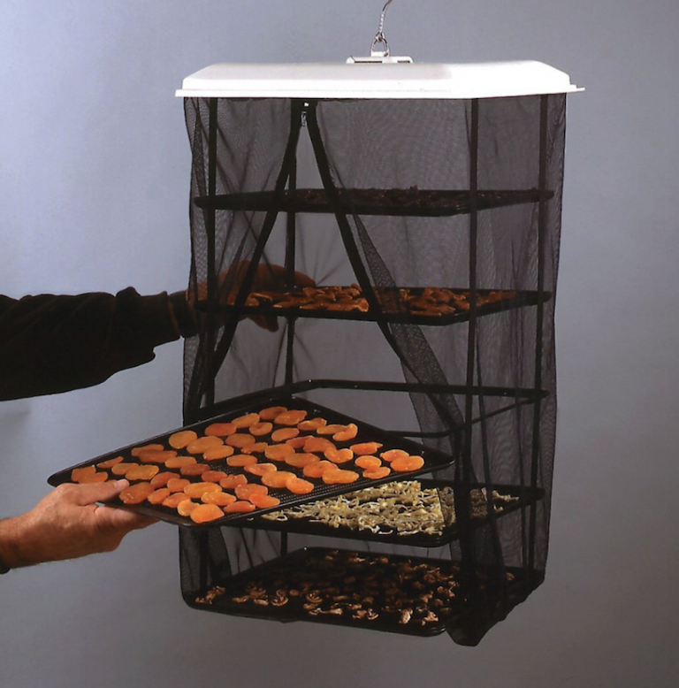 Best Food Dehydrators for Drying Your Garden Harvest GardensAll