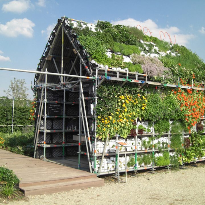 Vertical Garden house, edible house