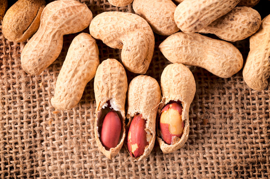 Peanuts in shell - #GrowPeanuts