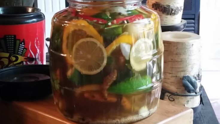 Fire cider recipe