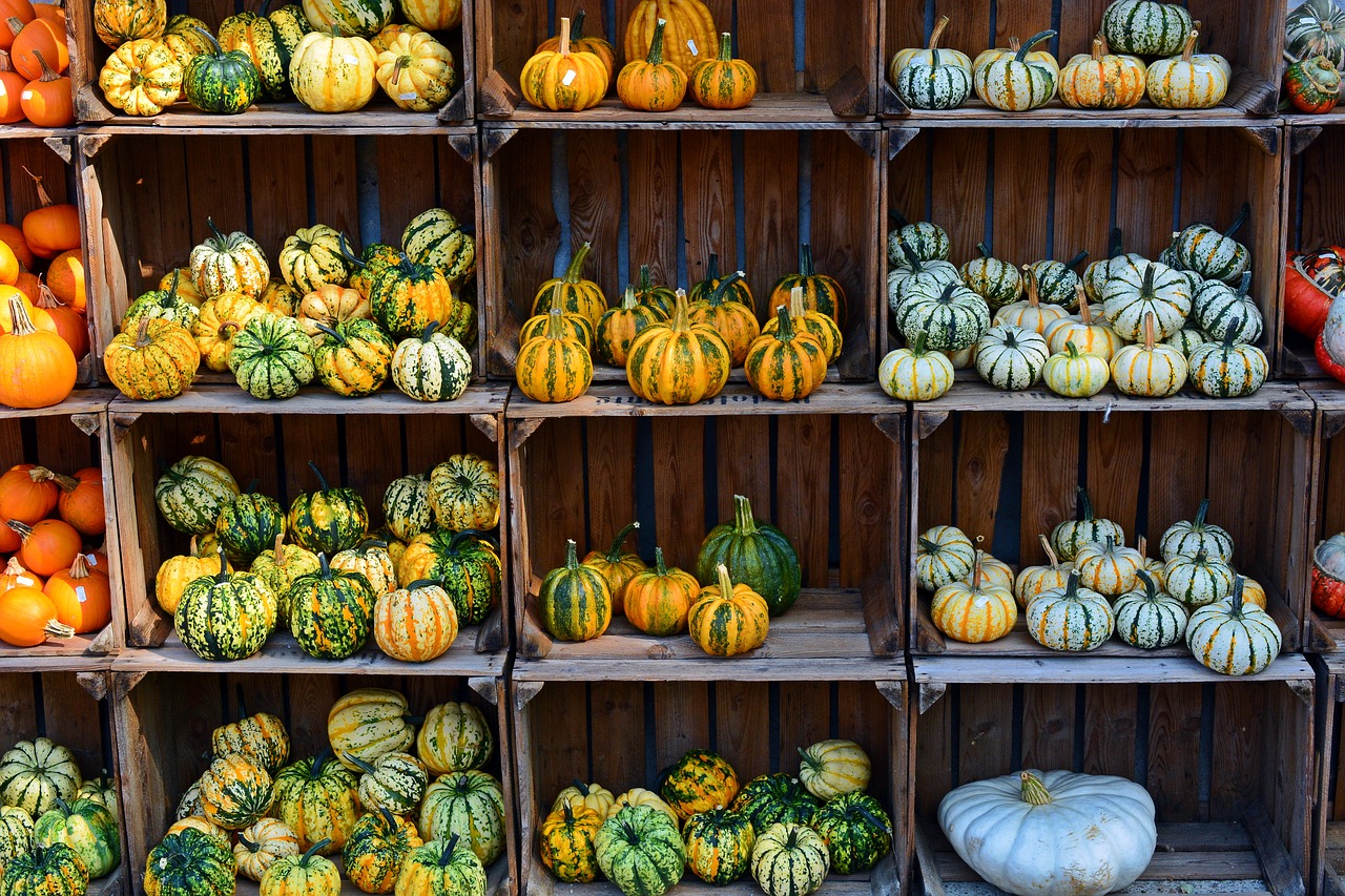 Winter squash