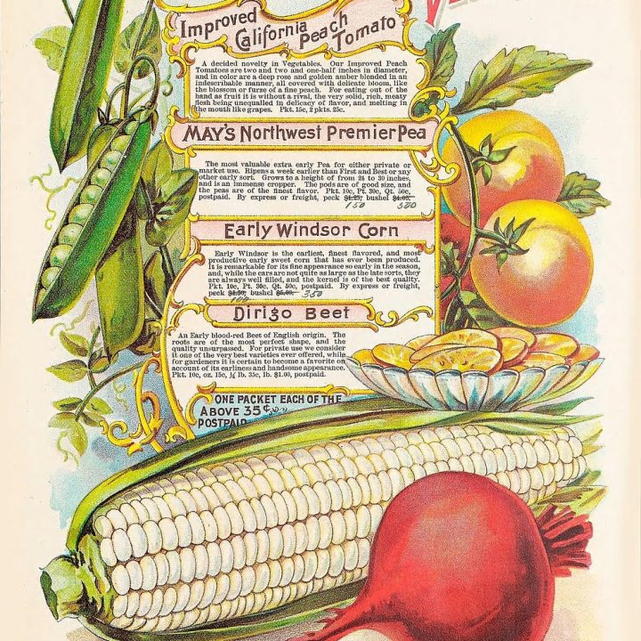 What Vegetables to Grow, and How to Decide