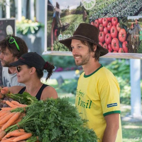 Profitable Micro Farm – The Market Gardener