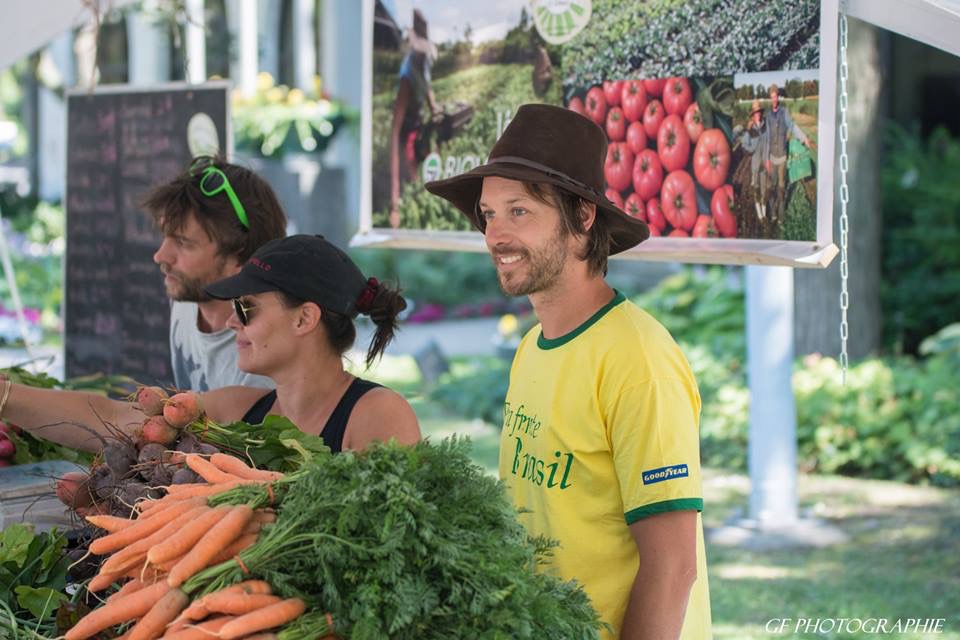 Profitable Micro Farm The Market Gardener GardensAll MARKET GARDENER