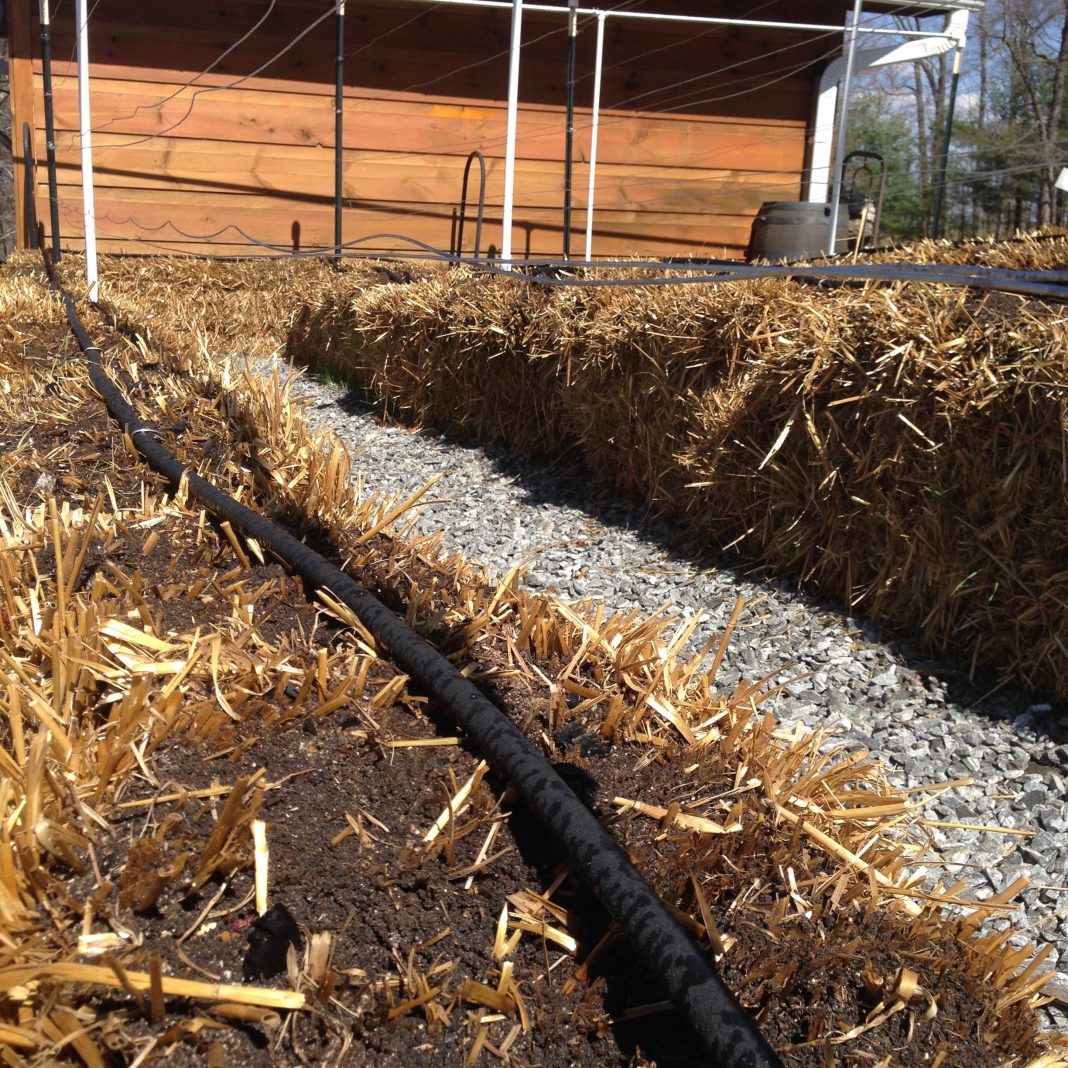 Soaker Hose Garden Irrigation System Pros and Cons GardensAll