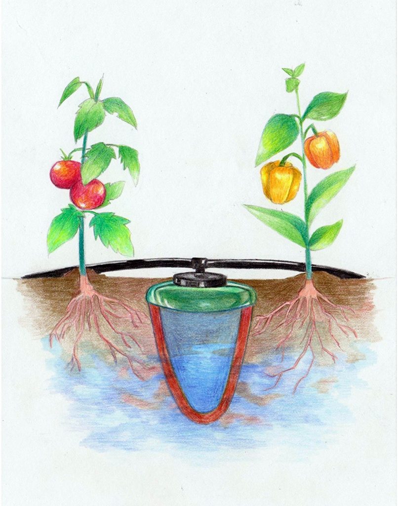 Olla Pots Clay Water Jug Garden Irrigation System GardensAll