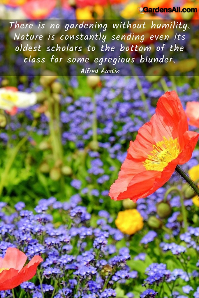 alfred austin garden quotes | GardensAll