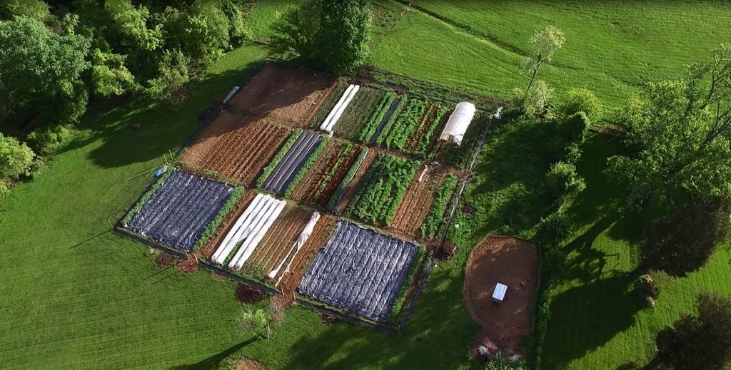 Benefits of Cover Crops for the Home Garden GardensAll