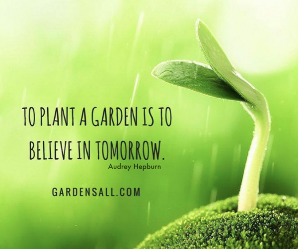 Garden Memes, Quotes and Sayings to Nurture Your Gardener's Soul