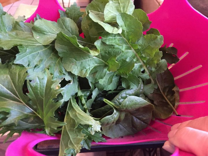 Garden Harvest Baskets and Colander GardensAll