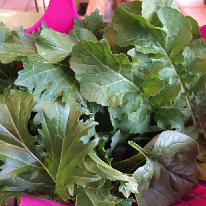 Garden Harvest Baskets and Colander