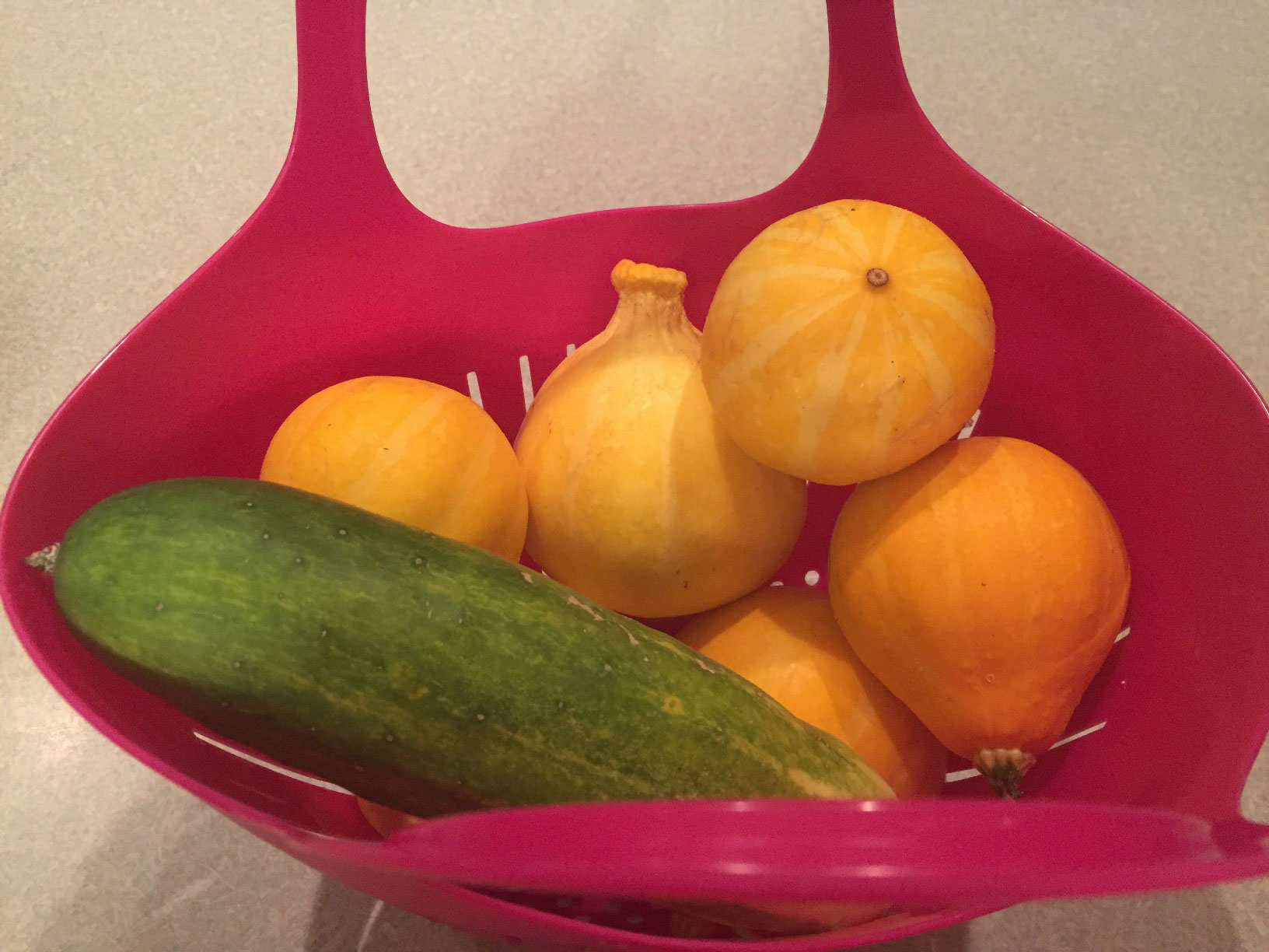 Garden Harvest Baskets and Colander GardensAll