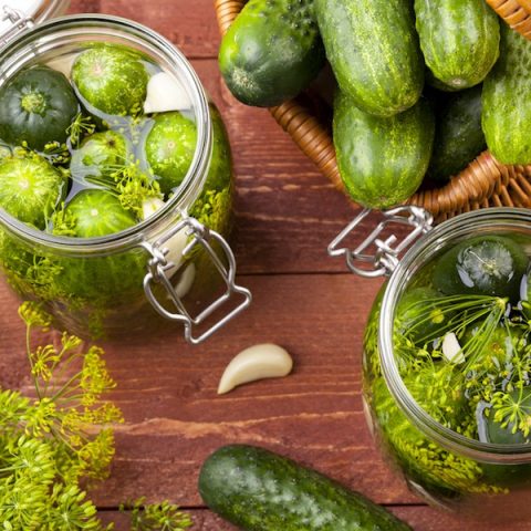 Easy Refrigerator Pickles Recipes -Homemade, Delicious and Healthy!