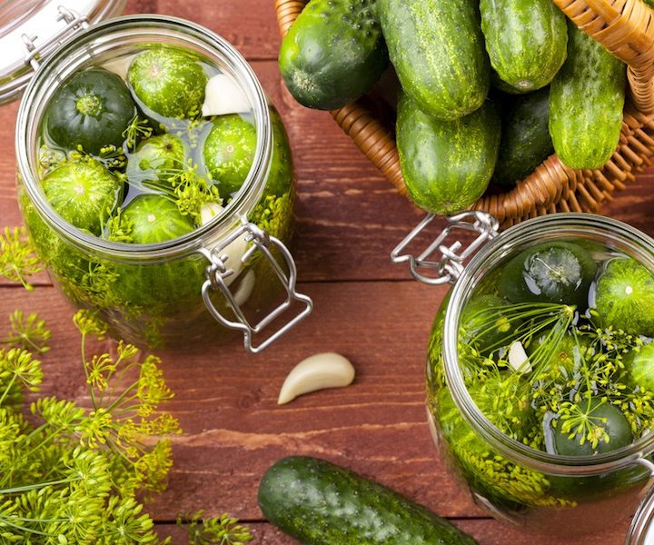 Fermented Cucumbers and Refrigerator Pickles Recipe. #FermentedCucumbers #EasyPickleRecipes #HomemadeDillPickles #EuropeanDillPickleRecipe #DillPickleProbiotics