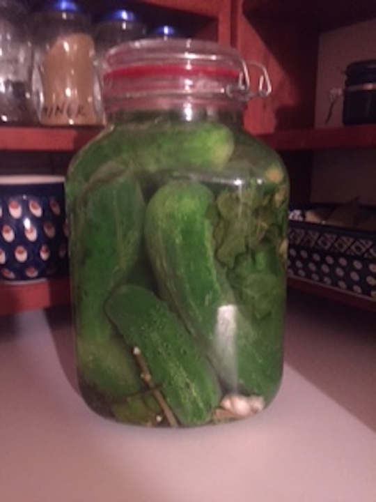 HomemadePolishpicklesUrszulaReady GardensAll