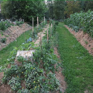 Raised Bed Hugelkultur – the Best Raised Beds for Low Maintenance