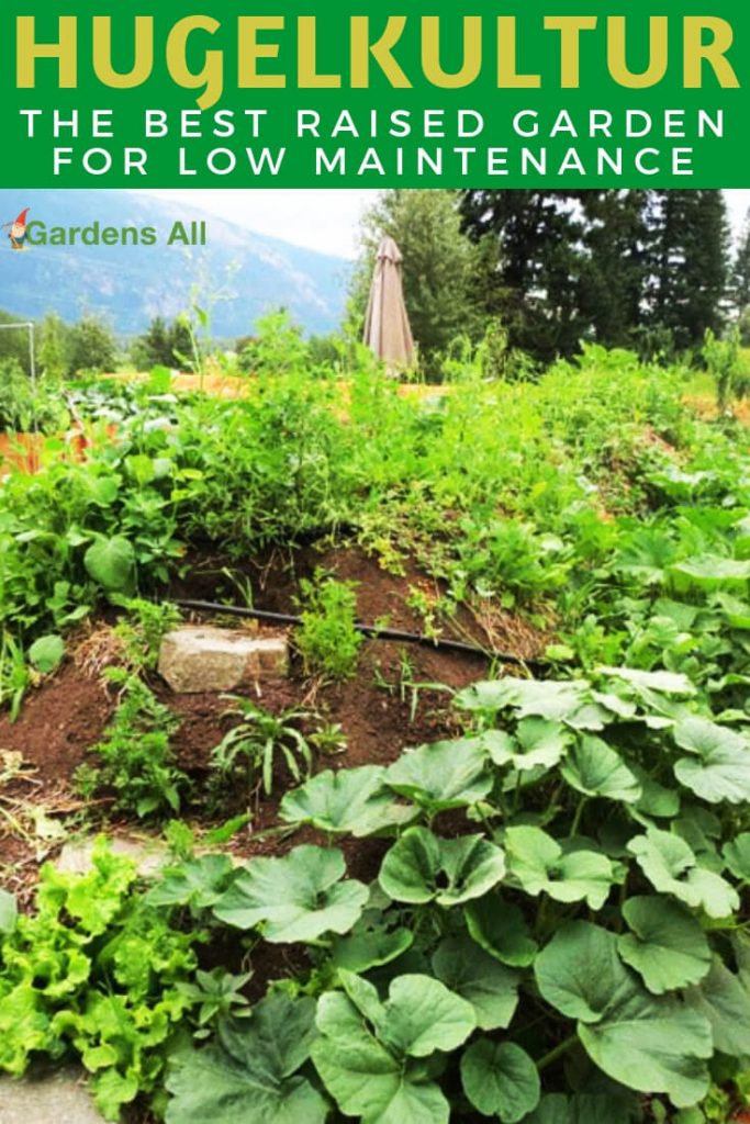 Raised Bed Hugelkultur the Best Raised Beds for Low Maintenance