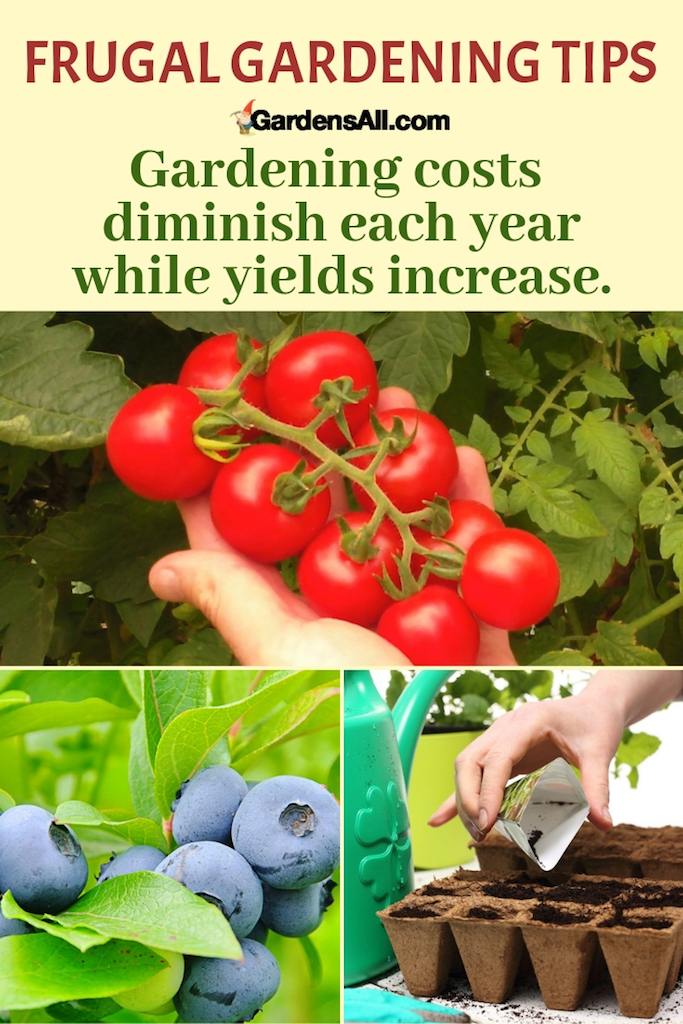 FRUGAL GARDENING - more food for less money toward Zero Cost gardening over time. #FrugalGardening #FrugalGardener #GardeningTips #CheapGardening #GrowingFoodToSaveMoney