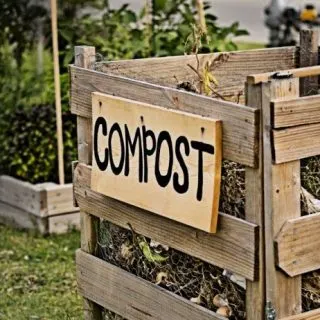 How to Make Organic Compost in 3 Easy Steps
