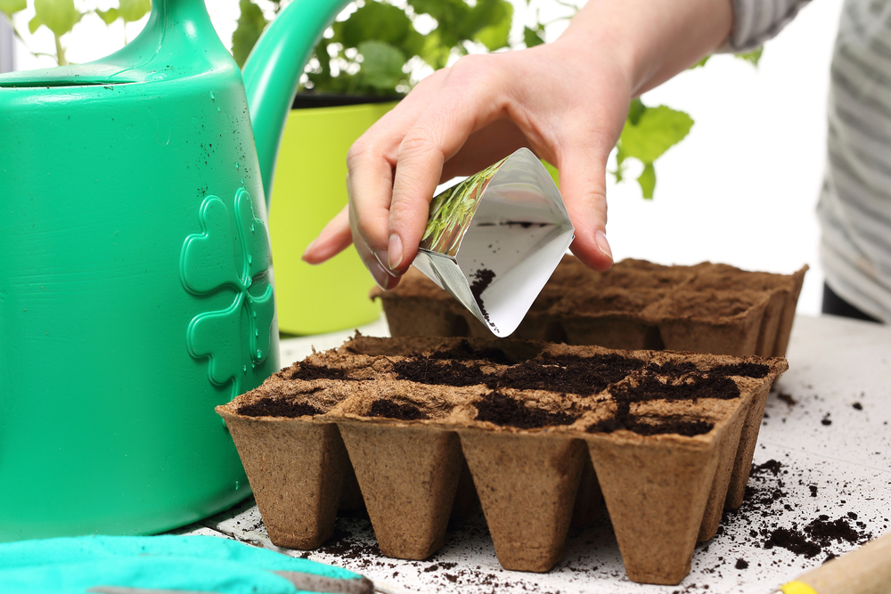 SOWING SEEDS for Frugal Gardening #SowingSeeds #FrugalGardening