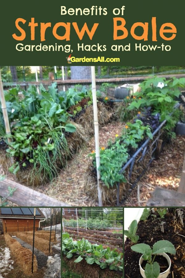 Benefits of Straw Bale Gardening, Hacks and Howto GardensAll