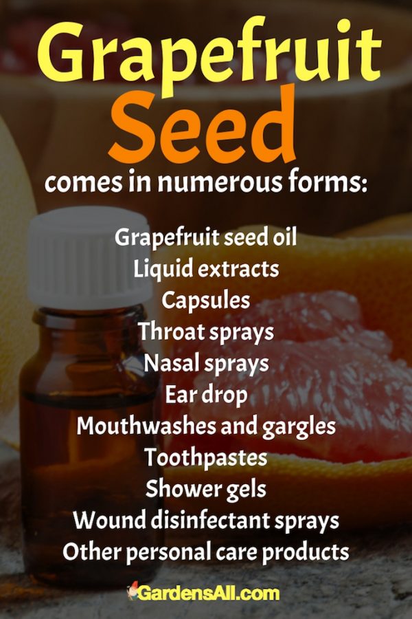 How to Make Grapefruit Seed Extract Cleaner, Disinfectant and More! GardensAll