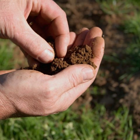 Soil Sample Tools and Timing