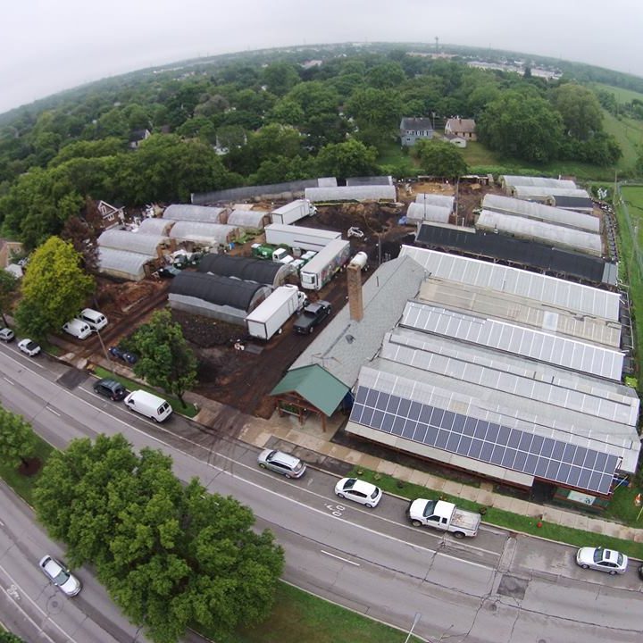 Year Round Greenhouse – a Million Pounds on 3 Acres