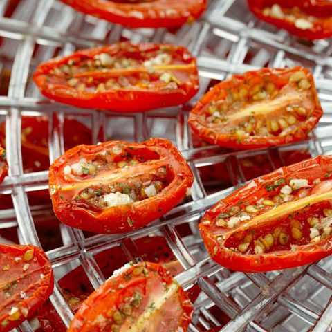 Best Food Dehydrators for Drying Your Garden Harvest