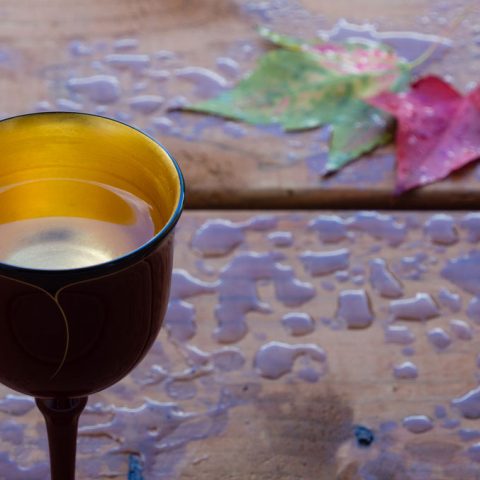 Birch Tree Water – a Growing Business