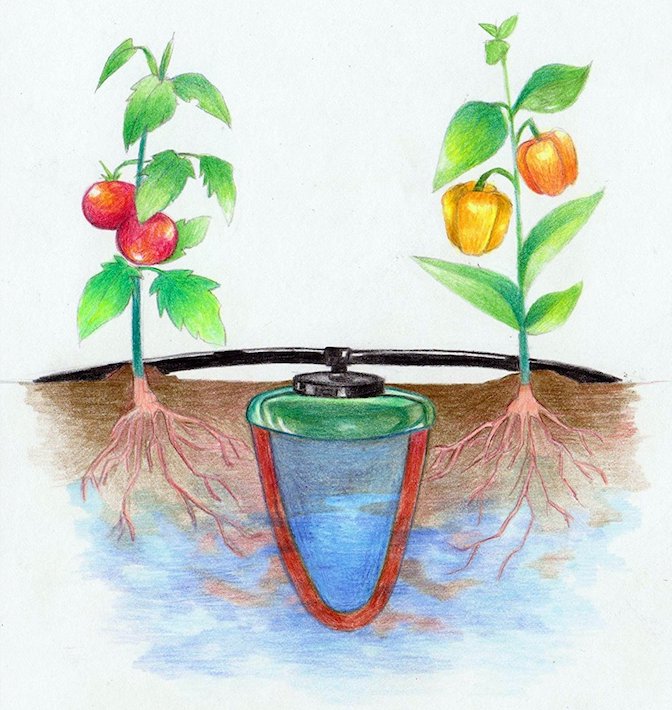 Olla Pots Clay Water Jug Garden Irrigation System GardensAll