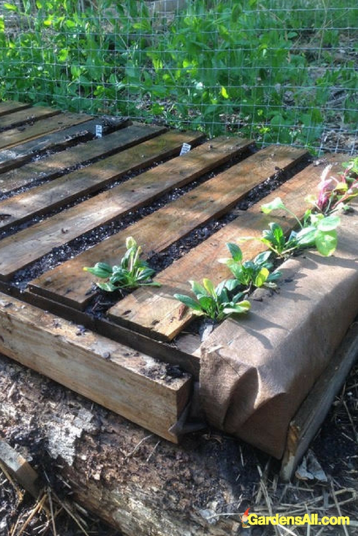 Garden Newsletter: Pallet Gardens and Planting Update | GardensAll
