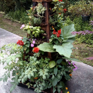 Pyramid Planters – 3x the Food in 4 Feet of Space
