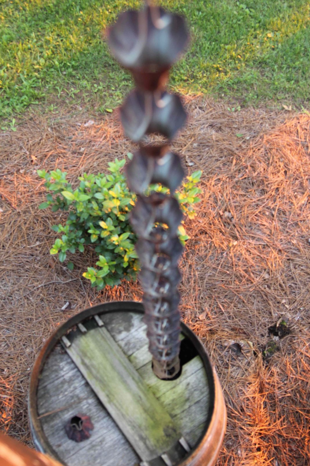 Rain Water Storage Barrels GardensAll