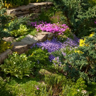 Biointensive Gardening Tips for More with Less - GardensAll