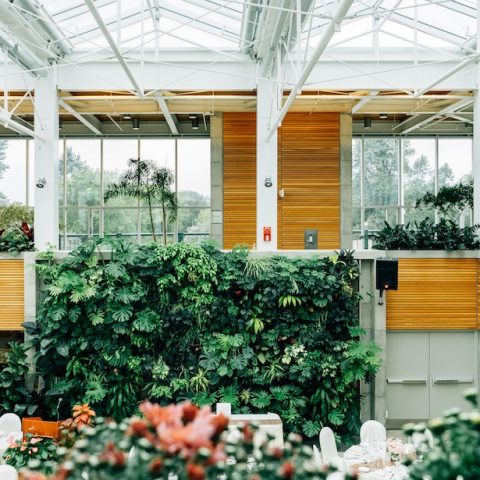 Vertical Wall Gardens Maximize Growing Space Indoors and Out