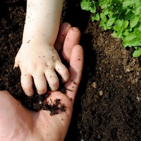 Kids in the Garden Growing Memories that Last