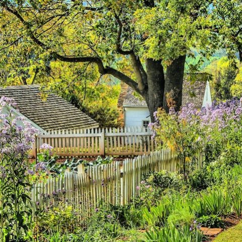 Backyard Growers Can Get Into the Gardening Business