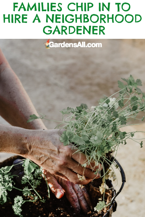 We know people who would be glad to pay someone to create a garden in their yard. In fact, we know of people in neighborhood situations, who've created a private community garden on land adjacent to each of them. #BackyardGardening #Gardening #FrontYard #Farmhouse #Backyard #SmallBusiness #Business