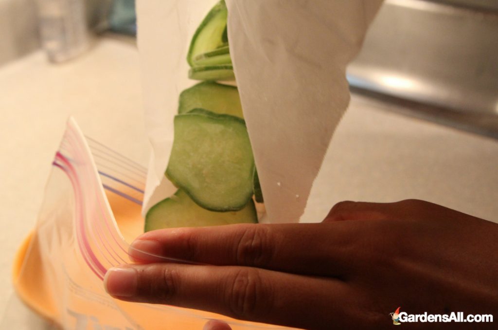 Can You Freeze Cucumbers? Creative Ideas for Cucumbers GardensAll