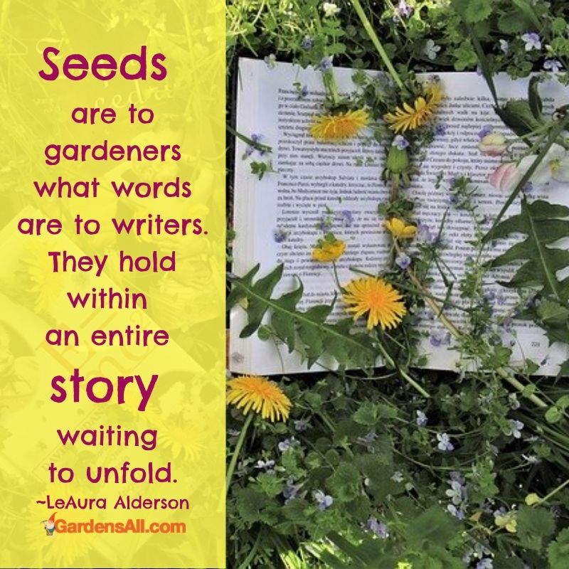 Garden metaphor: Seeds are to gardeners what words are to writers.... #GardenMetaphor #WritersMetaphor #GardenWriter #SeedsAnalogy #GardensAll