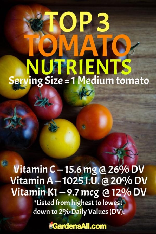 Top 3 Tomato Nutrients GardensAll