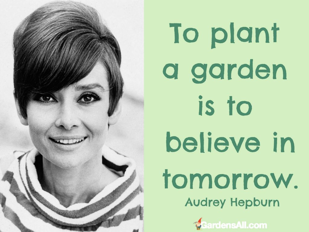 Garden Memes Quotes and Sayings for Life, Growth, and Inspiration