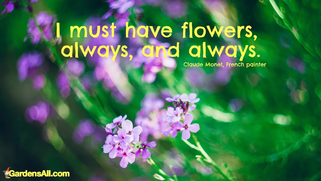 purple-flowers-claude-monet-flowers-quote-I must have flowers